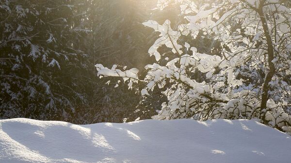 Зима в деревне Зима в деревне - Sputnik Беларусь