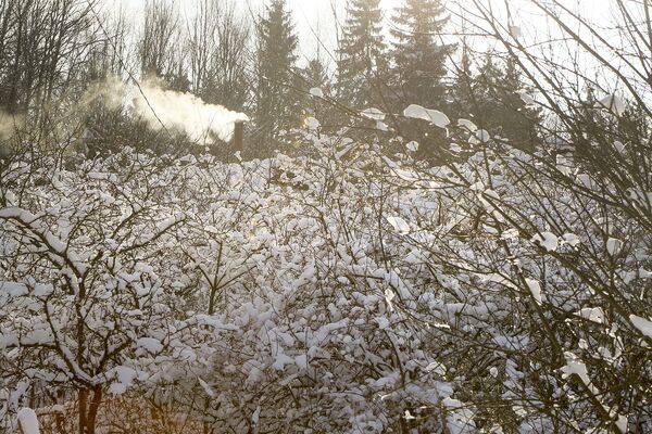 Зима в деревне - Sputnik Беларусь