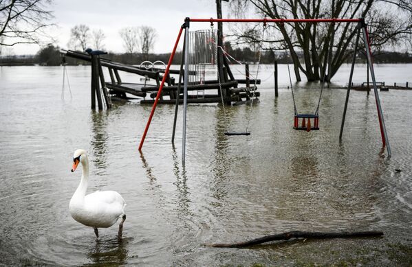 Лебедь на затопленной детской площадке в Германии  - Sputnik Беларусь