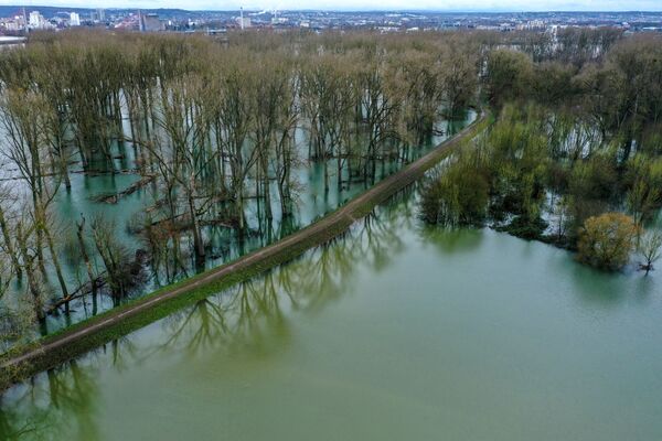 Затопленные деревья возле реки Зиг в Мондорфе, Германия - Sputnik Беларусь