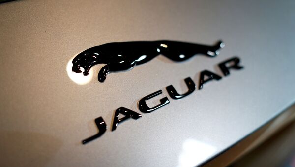 Эмблема Jaguar - Sputnik Беларусь