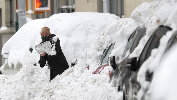 Американка отчищает свою машину от снега - Sputnik Беларусь