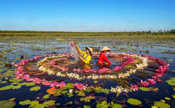Снимок Wash Water Lilies вьетнамского фотографа Tuan Nguyen Tan, высоко оцененный в категории Travel & Adventure в конкурсе 10th Mobile Photography Awards - Sputnik Беларусь