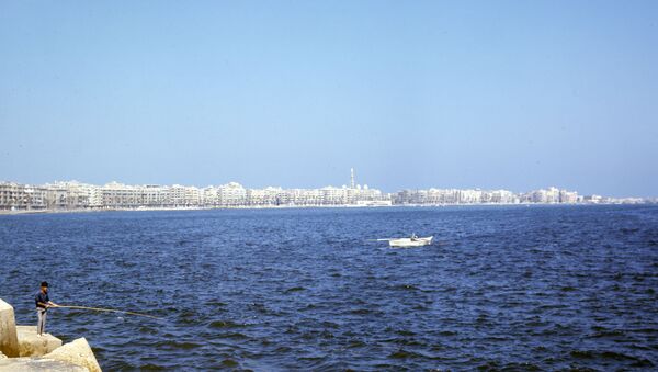Город Александрия - главный морской порт Арабской Республики Египет. Расположен на Средиземном море, в западной части дельты Нила. - Sputnik Беларусь