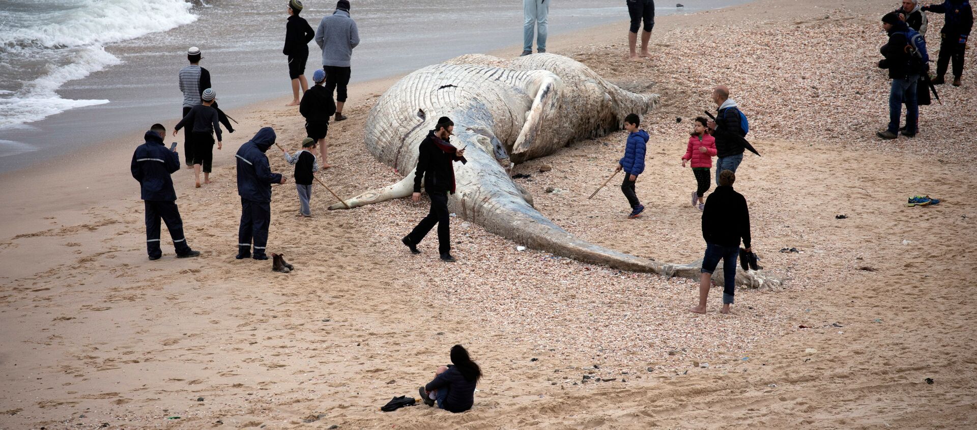 Люди стоят возле тела мертвого кита на берегу Средиземного моря в Израиле - Sputnik Беларусь, 1920, 22.02.2021