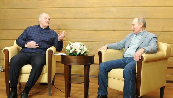 Президент РФ В. Путин встретился с президентом Белоруссии А. Лукашенко - Sputnik Беларусь