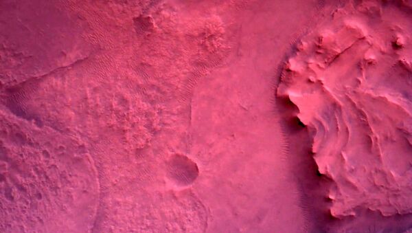 Фотография, снятаяя исследовательским аппаратом NASA's Perseverance Mars Rover с помощью камеры Rover Down-Look Camera - Sputnik Беларусь