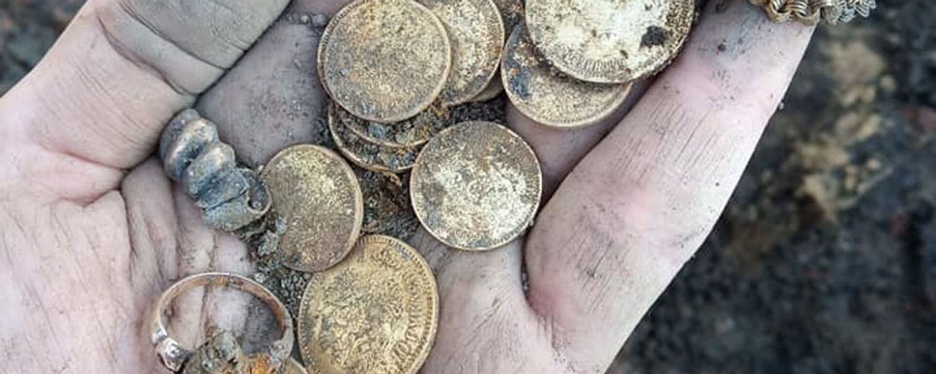 Найденный клад монет - Sputnik Беларусь, 1920, 24.02.2021