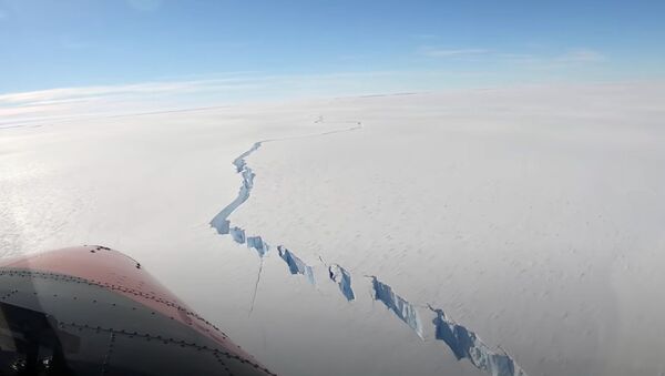 Гигантский айсберг откололся от Антарктиды - Sputnik Беларусь