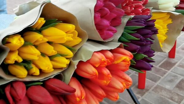 Сколько стоят цветы перед 8 марта - Sputnik Беларусь