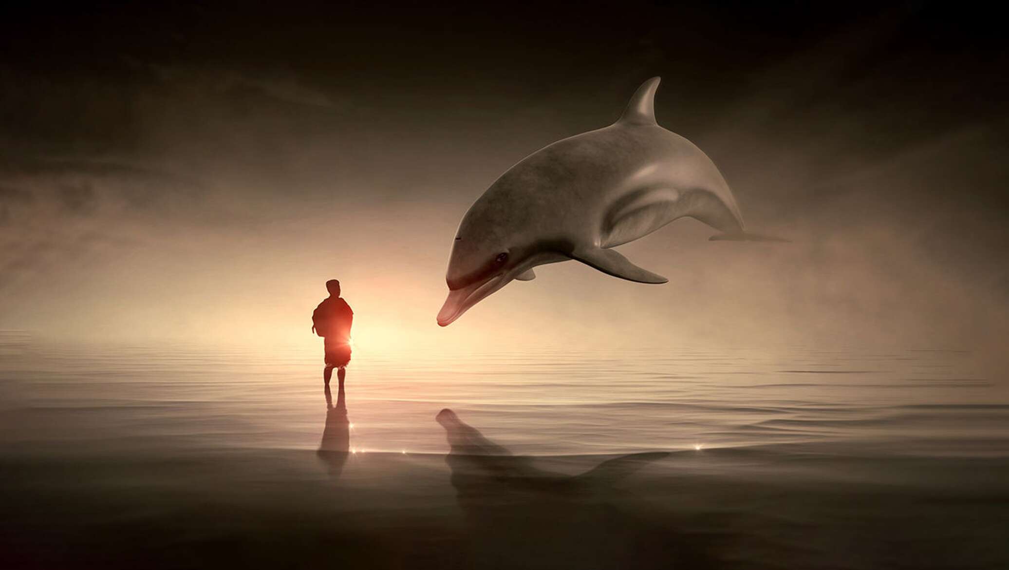 Люди дельфины песня. Человек Дельфин. Дельфины и люди. Дельфины люди моря. Одинокие дельфины.