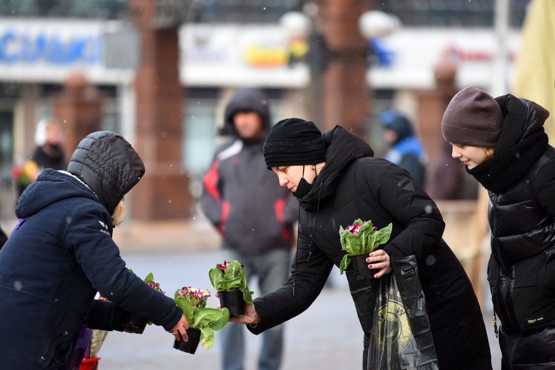 Продавцы цветов в Гомеле обещают не поднимать цены 8 марта - Sputnik Беларусь, 1920, 07.03.2021