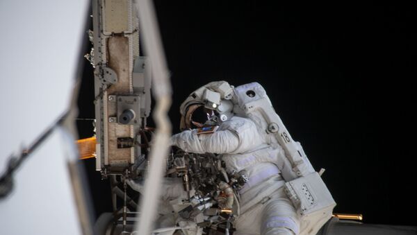 Астронавты NASA вышли в открытый космос с борта МКС - Sputnik Беларусь