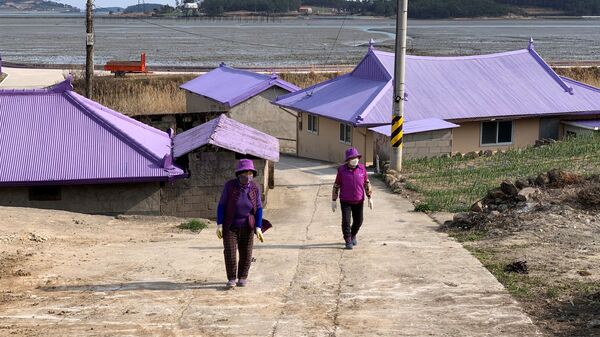 Жители в фиолетовой одежде гуляют по Пурпурному острову в Шинане, Южная Корея - Sputnik Беларусь