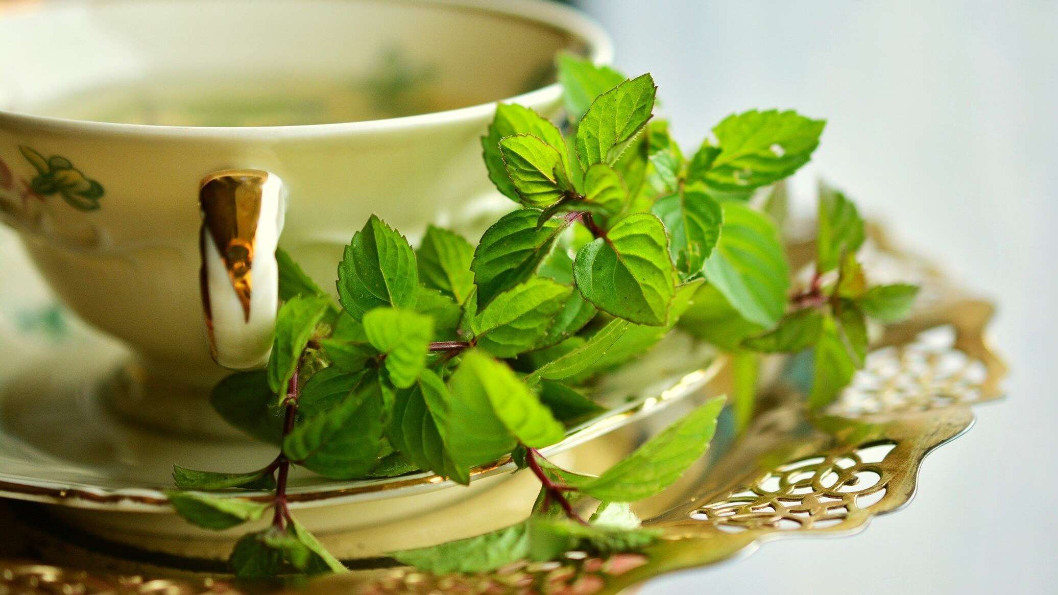 Листья мяты чай. Мята перечная листья чай. Травяной чай "мята перечная". Зеленый чай. Мятный чай.