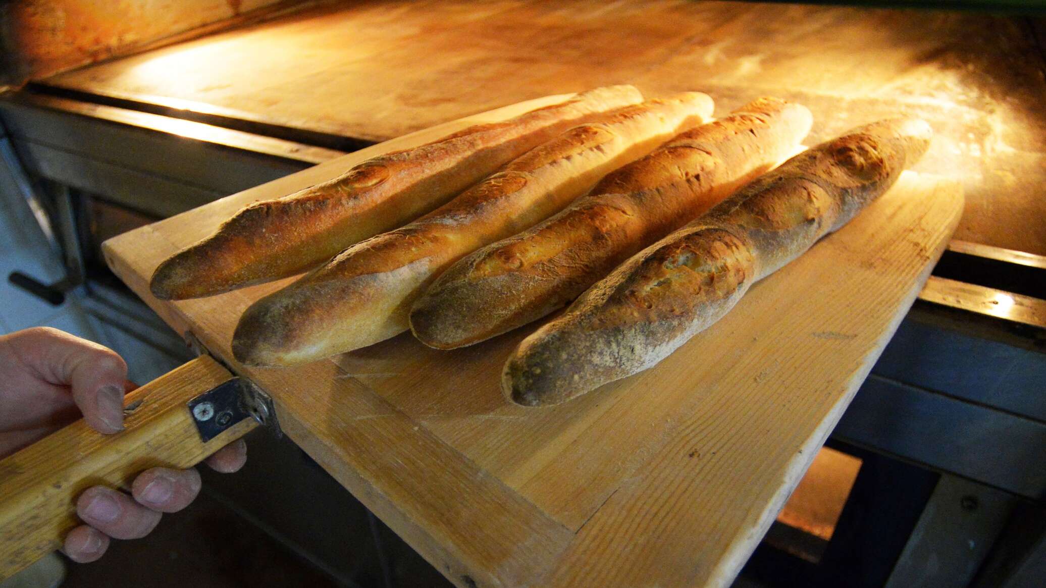 Какие виды деятельности оставят для ИП в Беларуси