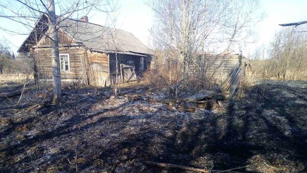 Пенсионерка погибла при пожаре во время пала сухой травы - Sputnik Беларусь
