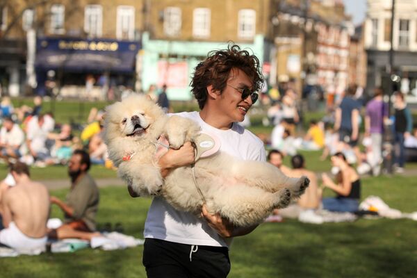 Хозяин выгуливает собаку в Клэпхэм Коммон в Лондоне, Великобритания - Sputnik Беларусь