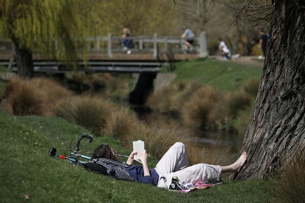 Мужчина читает книгу в Ричмонд-парке, Лондон - Sputnik Беларусь