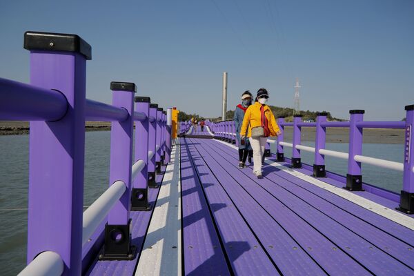 Фиолетовые острова в Южной Корее - Sputnik Беларусь
