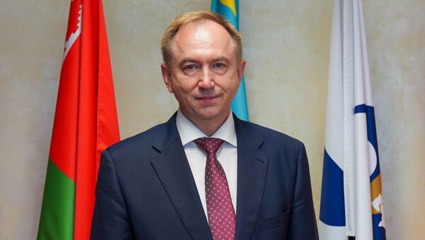 Директор департамента таможенного законодательства и правоприменительной практики ЕЭК Сергей Владимиров - Sputnik Беларусь
