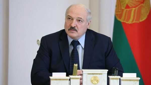 Совещание у президента Беларуси Александра Лукашенко по вопросам деятельности политических партий - Sputnik Беларусь
