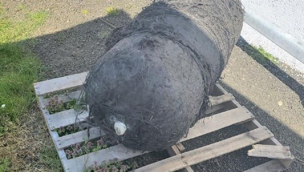 Объект, похожий на фрагмент космического аппарата, прибило к берегу в Орегоне  - Sputnik Беларусь