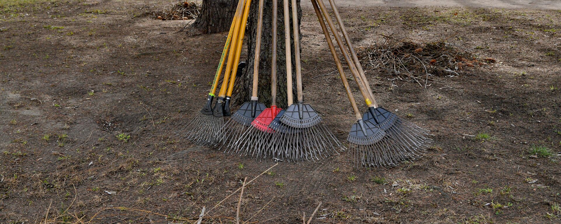 Суботнік - Sputnik Беларусь, 1920, 12.04.2025