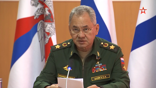 Шойгу: Россия перебрасывает войска на западные рубежи в ответ на угрозы НАТО - Sputnik Беларусь