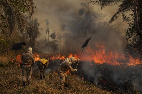 Здымак з серыі Pantanal Ablaze фатографа з Бразіліі Lalo de Almeida, які заняў першае месца конкурсу World Press Photo 2021 у катэгорыі Environment - Sputnik Беларусь