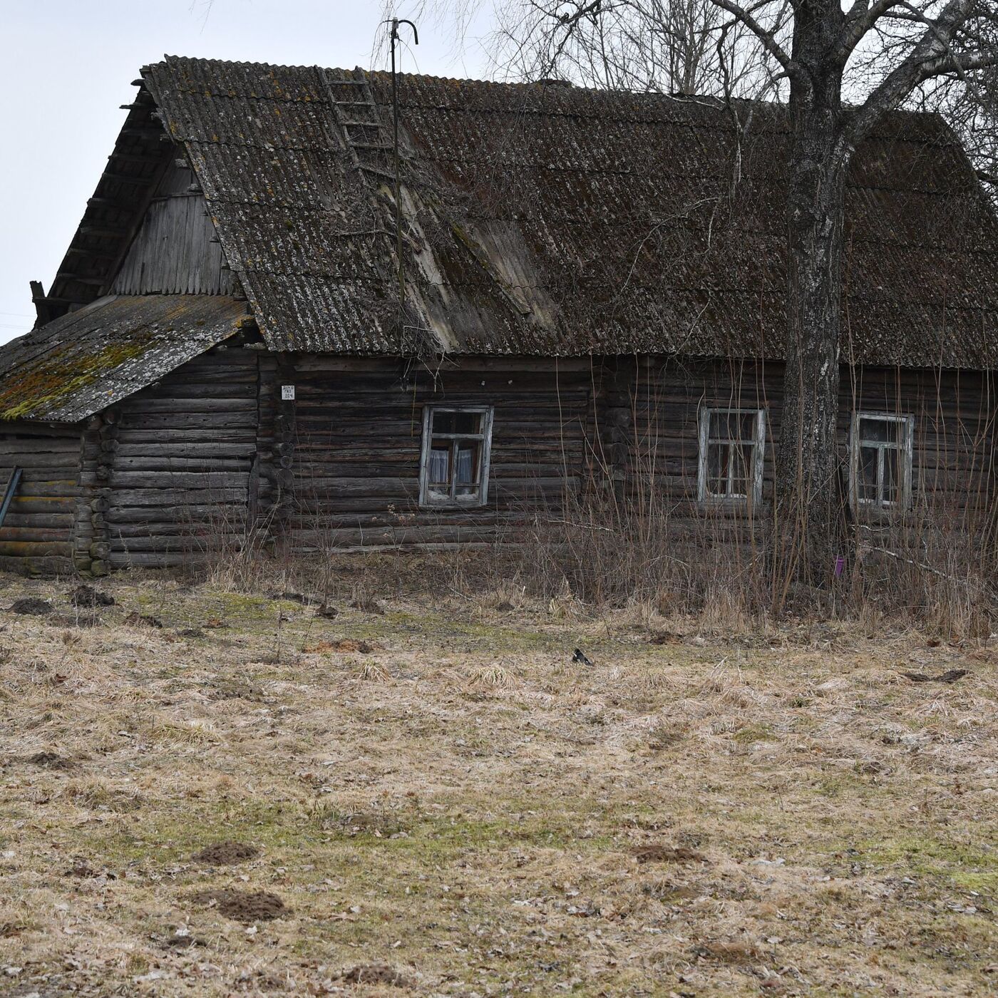 аукцион заброшенных домов беларусь (99) фото