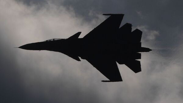 Шматмэтавы знішчальнік Су-30СМ - Sputnik Беларусь