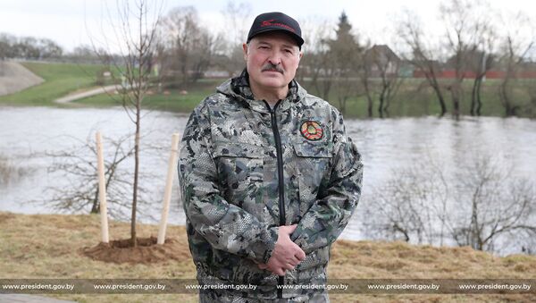 Александр Лукашенко на республиканском субботнике 17 апреля - Sputnik Беларусь