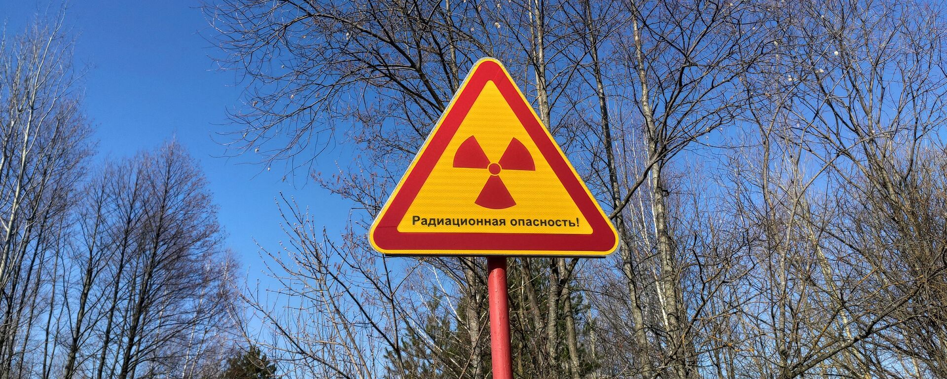 Радыяцыйная небяспека - Sputnik Беларусь, 1920, 12.12.2025