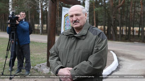 Александр Лукашенко в Наровлянском районе - Sputnik Беларусь