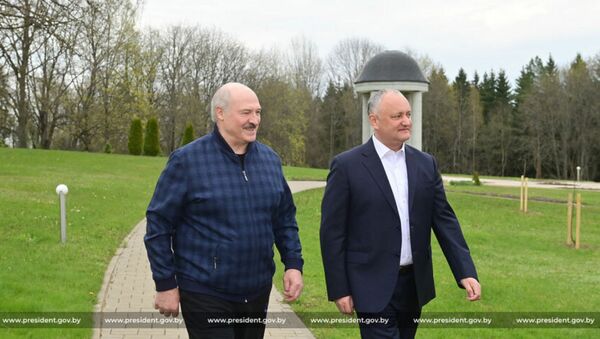 Встреча Александра Лукашенко с экс-президентом Молдовы Игорем Додоном - Sputnik Беларусь
