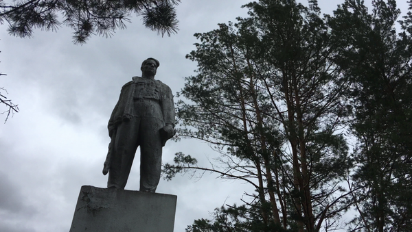 По сей день, в напоминание о военной истории, подъездную дорогу к этой площадке посреди леса сторожит Партизан в дозоре - Sputnik Беларусь