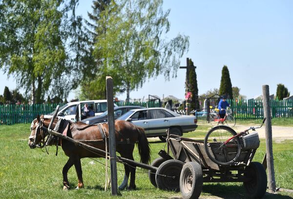 Несмотря на полный забот май, ольшанцы обязательно посещают предков в Радуницу. - Sputnik Беларусь