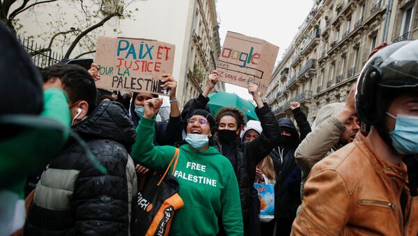 Протесты в поддержку Палестины в Париже - Sputnik Беларусь