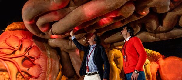 Музей человеческого тела в Нидерландах - Sputnik Беларусь