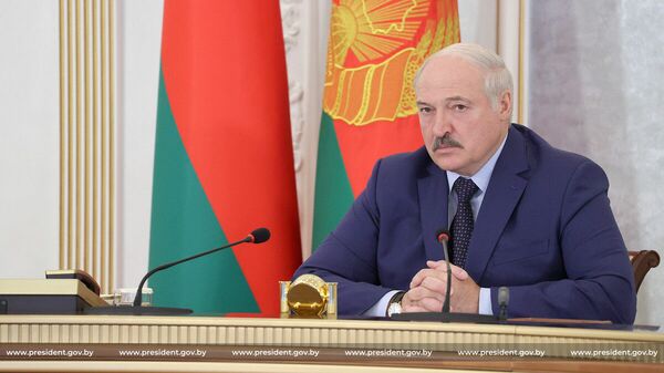 Александр Лукашенко во время заседания Высшего Евразийского экономического совета - Sputnik Беларусь