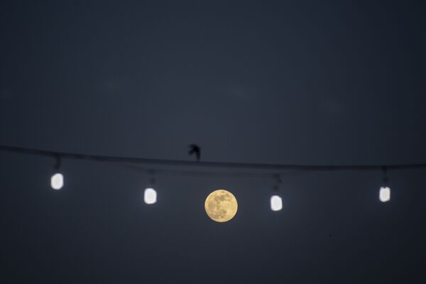 Полная луна восходит над сирийской столицей Дамаском. - Sputnik Беларусь