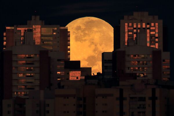Полная Луна перед началом затмения среди кварталов Бразилиа. - Sputnik Беларусь