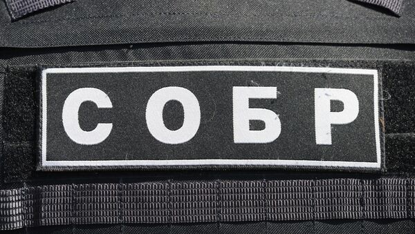 Нашивка на спине бронежилета сотрудника Управления федеральной службы войск национальной гвардии РФ, архивное фото - Sputnik Беларусь