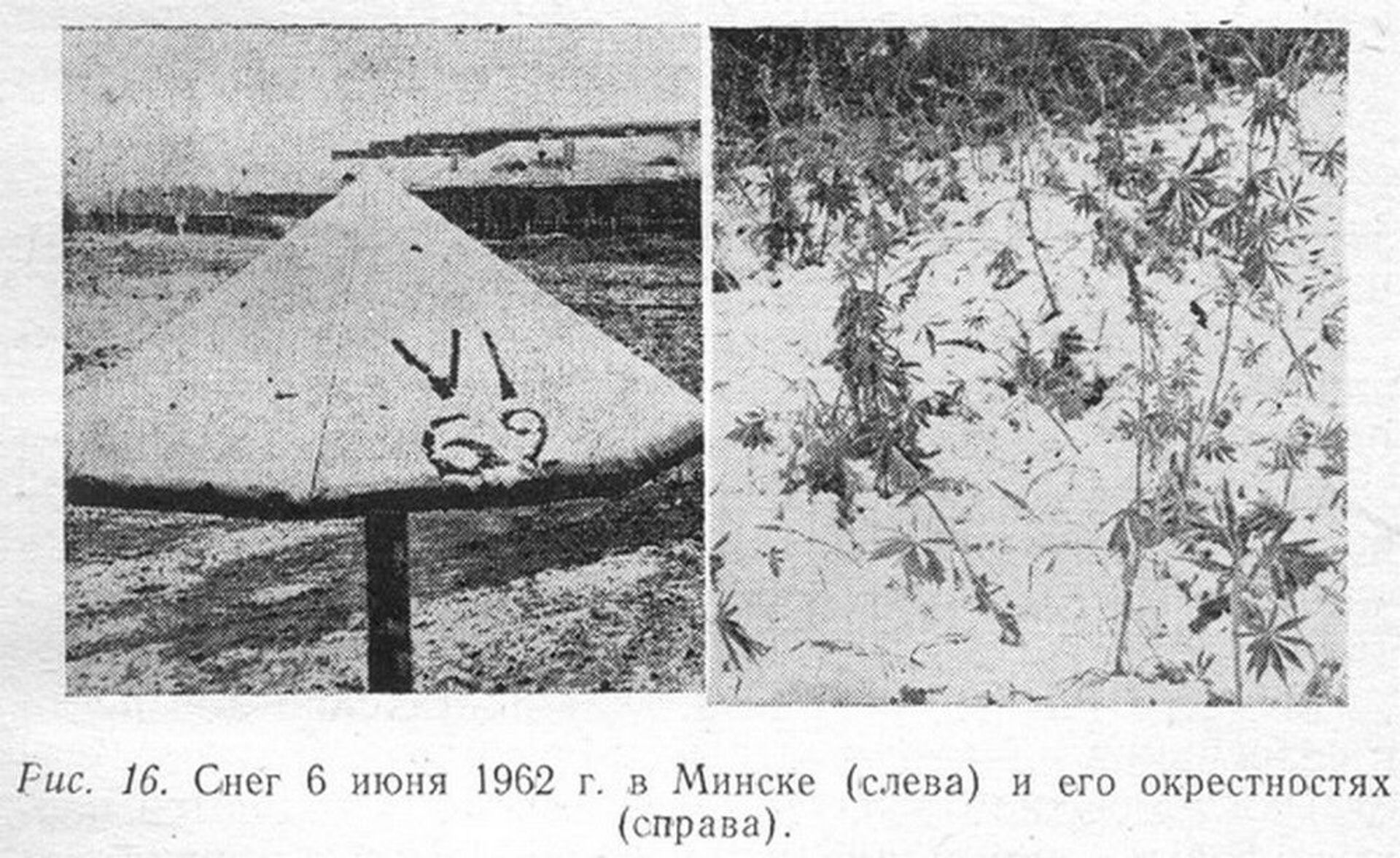 Снег в Минске 6 июня 1962 года - Sputnik Беларусь, 1920, 29.06.2021