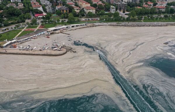 Толстый слой органической слизи представляет угрозу для морской жизни и рыбной промышленности на берегу Стамбула. - Sputnik Беларусь