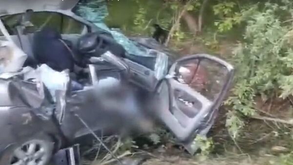 Авария под Мостами: Renault врезался в дерево, погибли две девочки - Sputnik Беларусь