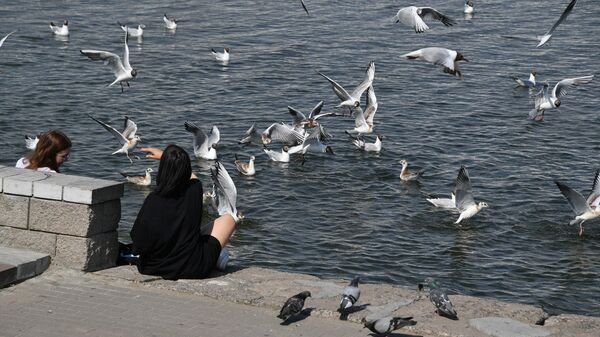 Девушки на набережной Свислочи - Sputnik Беларусь