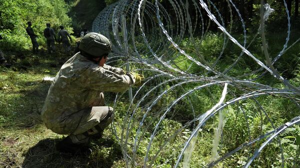 Вслед за Литвой: Эстония построит забор из-за наплыва мигрантов - Sputnik Беларусь