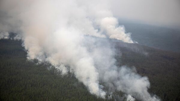 Лесной пожар в Якутии - Sputnik Беларусь
